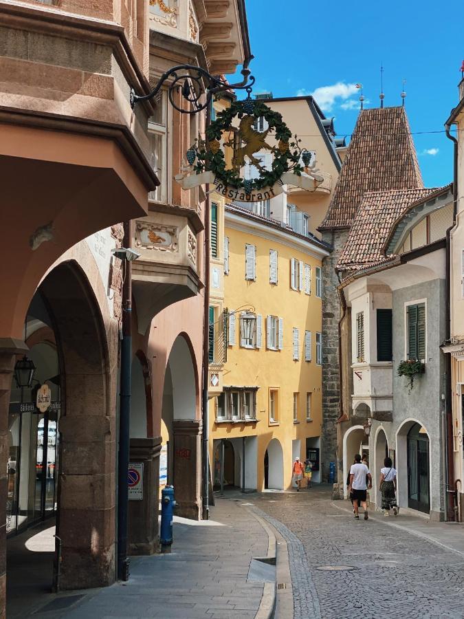 Apartment Schöne Neubauwohnung Mit Garten Meran